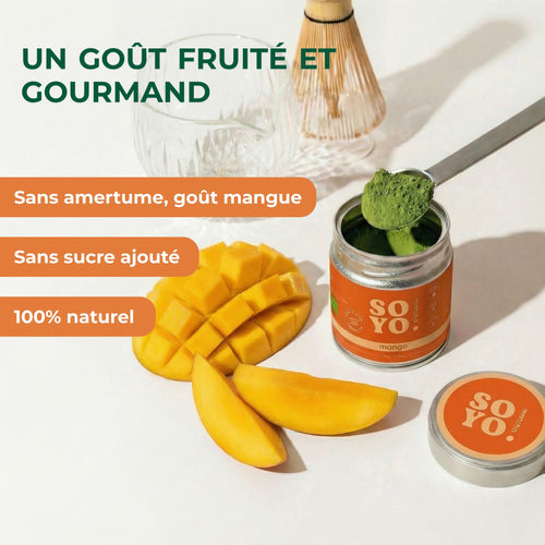 Matcha Mangue 🥭