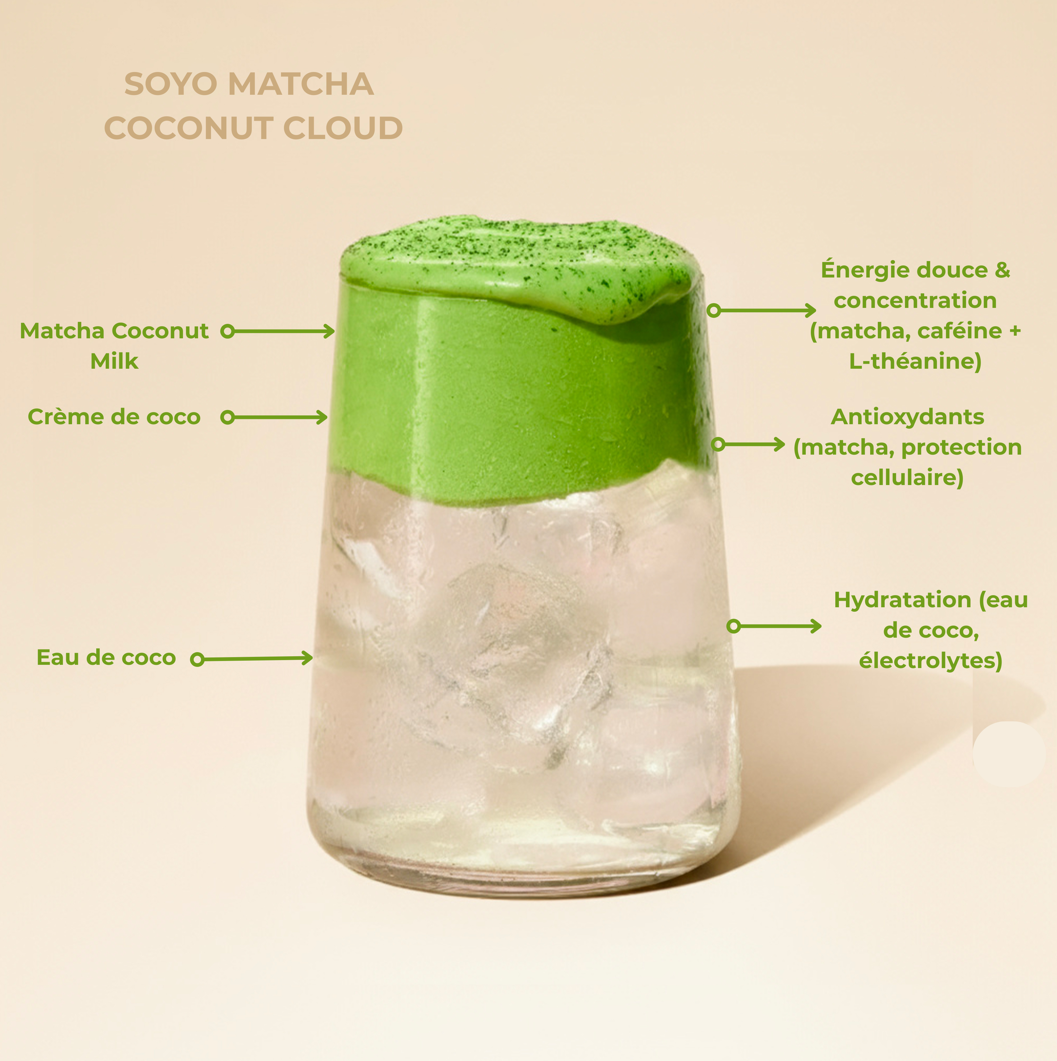 MATCHA COCONUT MILK 🥥